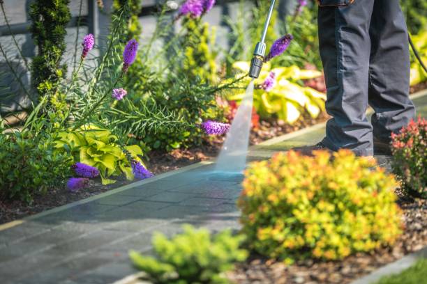 Best Commercial Pressure Washing in Somers, WI