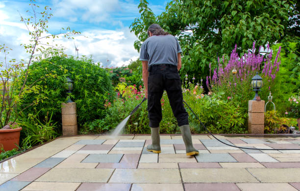 Best Roof Cleaning and Mildew Removal in Somers, WI